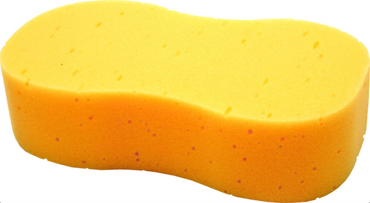 Sponge